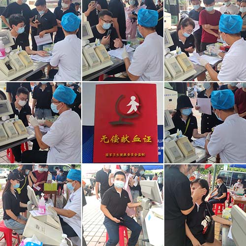 獻血匯集 獻血匯集